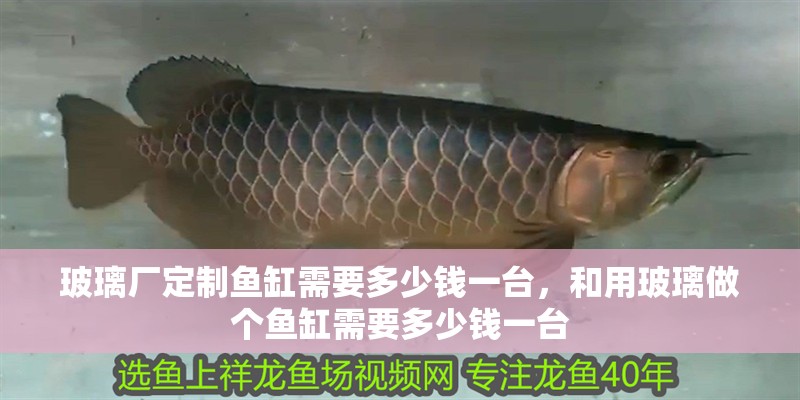 玻璃廠定制魚缸需要多少錢一臺，和用玻璃做個魚缸需要多少錢一臺