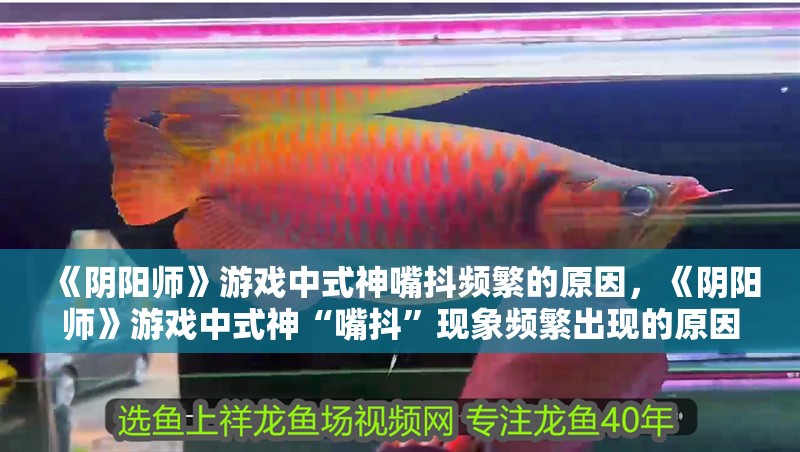 《陰陽師》游戲中式神嘴抖頻繁的原因，《陰陽師》游戲中式神“嘴抖”現象頻繁出現的原因