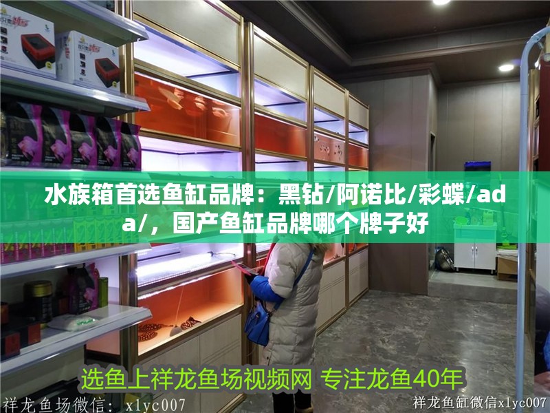 水族箱首選魚缸品牌：黑鉆/阿諾比/彩蝶/ada/，國產魚缸品牌哪個牌子好