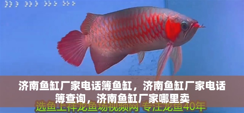 濟南魚缸廠家電話簿魚缸，濟南魚缸廠家電話簿查詢，濟南魚缸廠家哪里賣