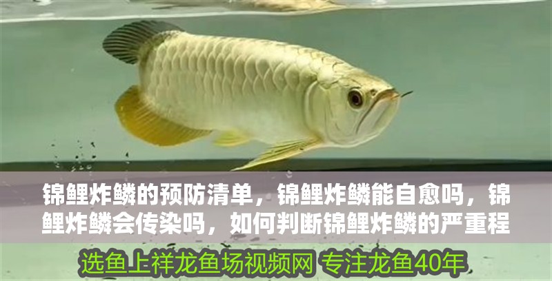 錦鯉炸鱗的預防清單，錦鯉炸鱗能自愈嗎，錦鯉炸鱗會傳染嗎，如何判斷錦鯉炸鱗的嚴重程度