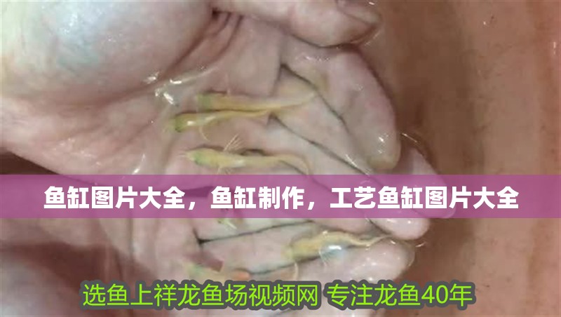 魚缸圖片大全，魚缸制作，工藝魚缸圖片大全