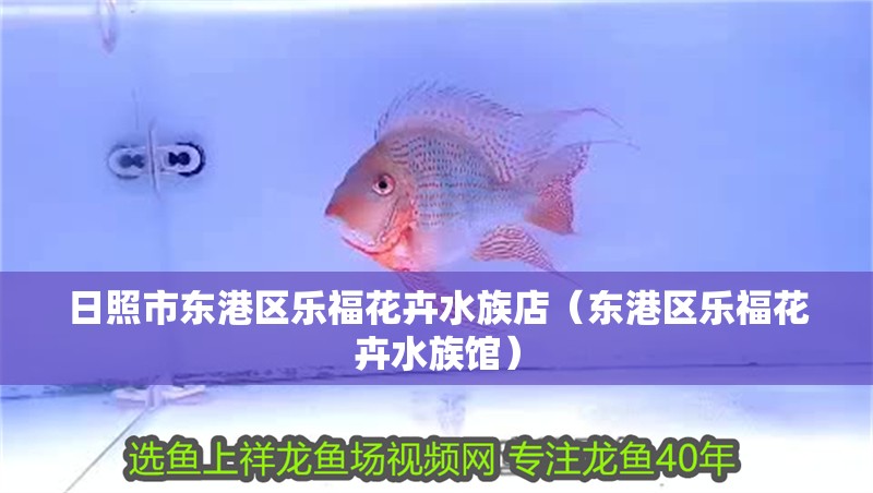 日照市東港區樂福花卉水族店（東港區樂福花卉水族館）