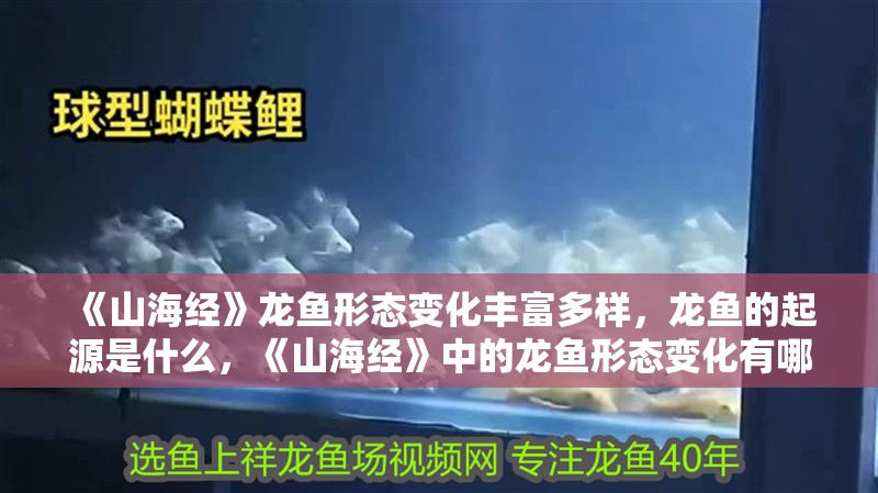 《山海經》龍魚形態變化豐富多樣，龍魚的起源是什么，《山海經》中的龍魚形態變化有哪些？