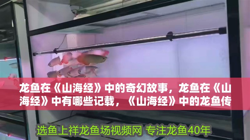 龍魚在《山海經》中的奇幻故事，龍魚在《山海經》中有哪些記載，《山海經》中的龍魚傳說