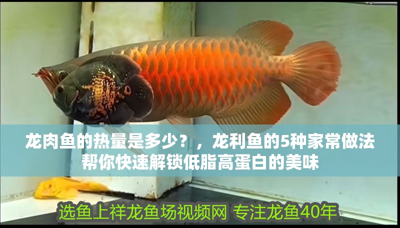 龍肉魚的熱量是多少？，龍利魚的5種家常做法幫你快速解鎖低脂高蛋白的美味