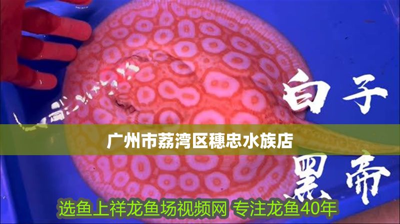 廣州市荔灣區穗忠水族店