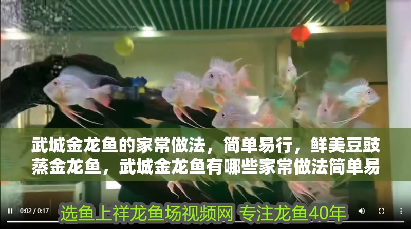 武城金龍魚的家常做法，簡單易行，鮮美豆豉蒸金龍魚，武城金龍魚有哪些家常做法簡單易行的做法簡單易行 武城金龍魚的家常做法，簡單易行，鮮美豆豉蒸金龍魚，武城金龍魚有哪些家常做法簡單易行的做法簡單易行 觀賞魚百科 第4張