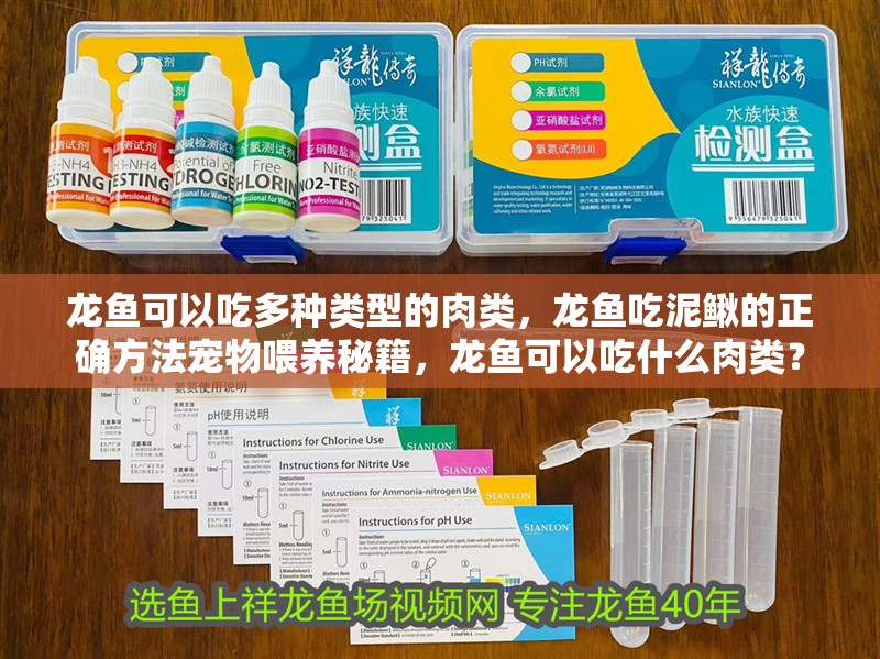 龍魚可以吃多種類型的肉類，龍魚吃泥鰍的正確方法寵物喂養秘籍，龍魚可以吃什么肉類？