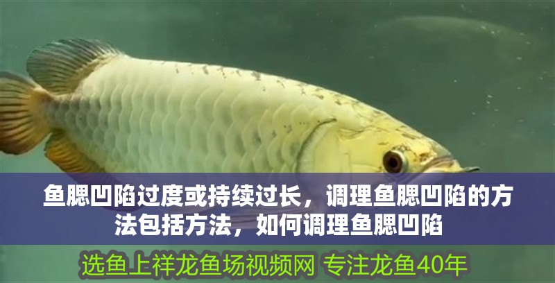 魚腮凹陷過度或持續(xù)過長，調(diào)理魚腮凹陷的方法包括方法，如何調(diào)理魚腮凹陷