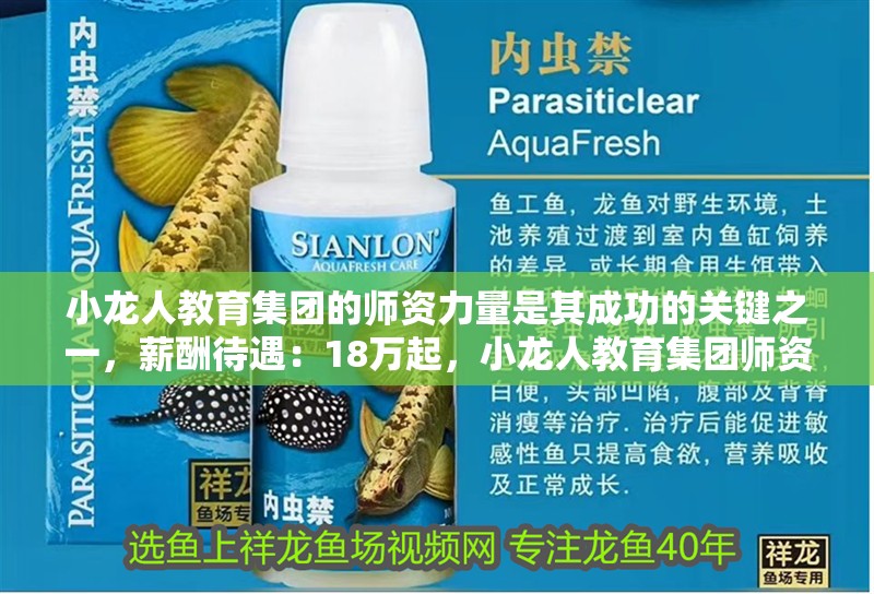 小龍人教育集團(tuán)的師資力量是其成功的關(guān)鍵之一，薪酬待遇：18萬起，小龍人教育集團(tuán)師資力量突出，年薪18萬起吸引優(yōu)秀教師