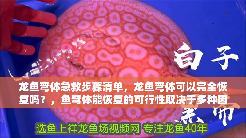 龍魚彎體急救步驟清單，龍魚彎體可以完全恢復嗎？，魚彎體能恢復的可行性取決于多種因素取決于多種因素