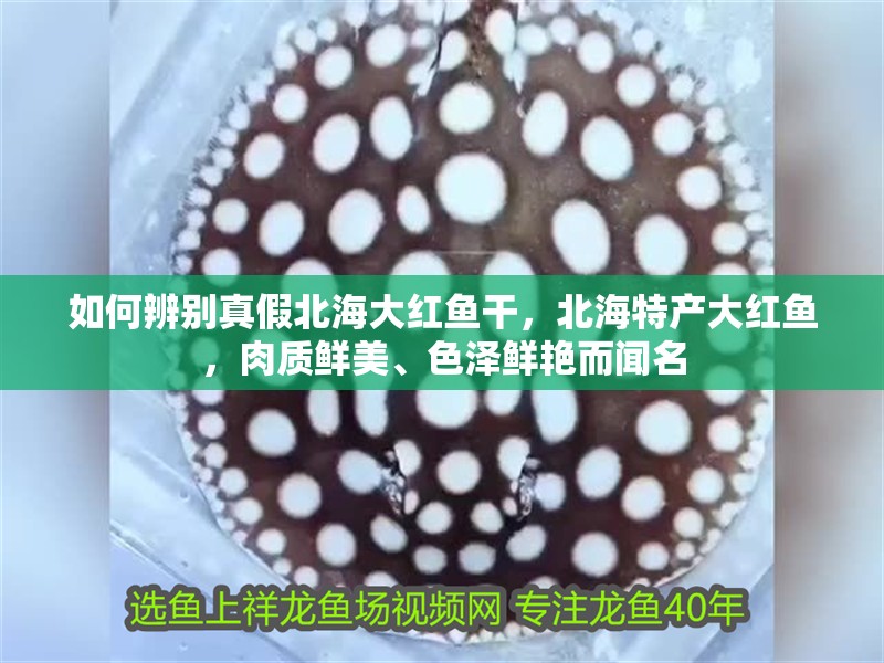 如何辨別真假北海大紅魚干，北海特產大紅魚，肉質鮮美、色澤鮮艷而聞名