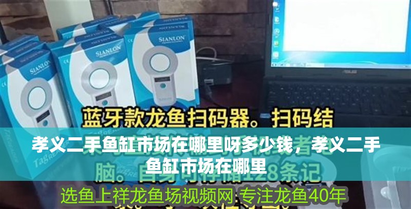 孝義二手魚(yú)缸市場(chǎng)在哪里呀多少錢(qián),孝義二手魚(yú)缸市場(chǎng)在哪里 觀賞魚(yú)百科 第2張 孝義二手魚(yú)缸市場(chǎng)在哪里呀多少錢(qián),孝義二手魚(yú)缸市場(chǎng)在哪里 孝義二手魚(yú)缸市場(chǎng)在哪里呀多少錢(qián),孝義二手魚(yú)缸市場(chǎng)在哪里 觀賞魚(yú)百科 第2張