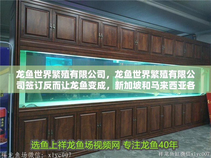 給大魚缸換水的作文:體驗給大魚缸換水的樂趣:體驗給大魚缸換水:給大魚缸換水的作文 龍魚世界繁殖有限公司,龍魚世界繁殖有限公司簽訂反而讓龍魚變成,新加坡和馬來西亞各大漁場 觀賞魚百科 龍魚世界繁殖有限公司,龍魚世界繁殖有限公司簽訂反而讓龍魚變成,新加坡和馬來西亞各大漁場 龍魚世界繁殖有限公司,龍魚世界繁殖有限公司簽訂反而讓龍魚變成,新加坡和馬來西亞各大漁場 觀賞魚百科