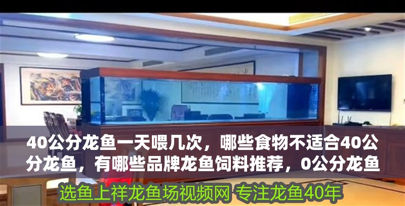 40公分龍魚一天喂幾次，哪些食物不適合40公分龍魚，有哪些品牌龍魚飼料推薦，0公分龍魚適合40公分龍魚的飲食需求與小型龍魚有所不同