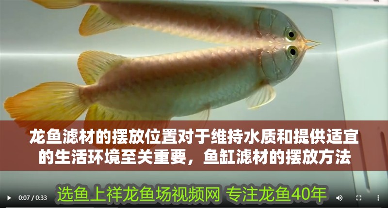 龍魚濾材的擺放位置對于維持水質和提供適宜的生活環境至關重要，魚缸濾材的擺放方法