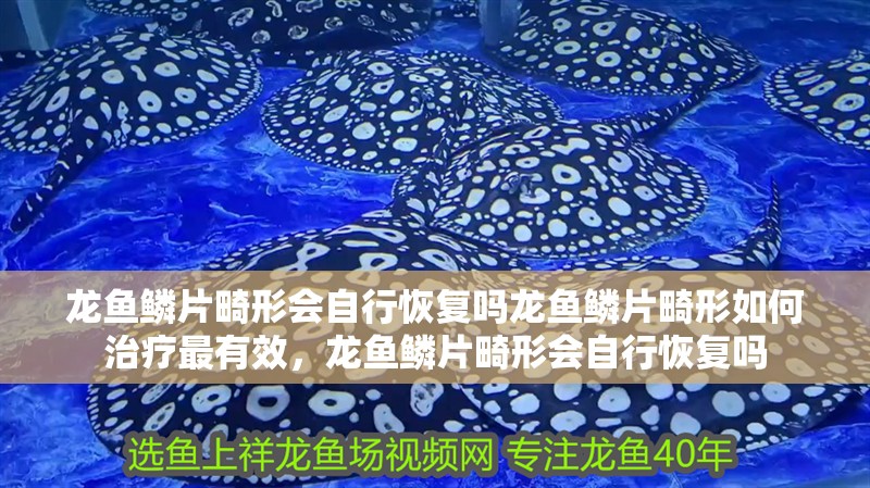 龍魚鱗片畸形會自行恢復嗎龍魚鱗片畸形如何治療最有效，龍魚鱗片畸形會自行恢復嗎
