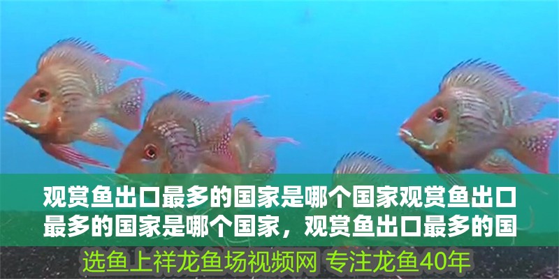 觀賞魚出口最多的國家是哪個國家觀賞魚出口最多的國家是哪個國家，觀賞魚出口最多的國家
