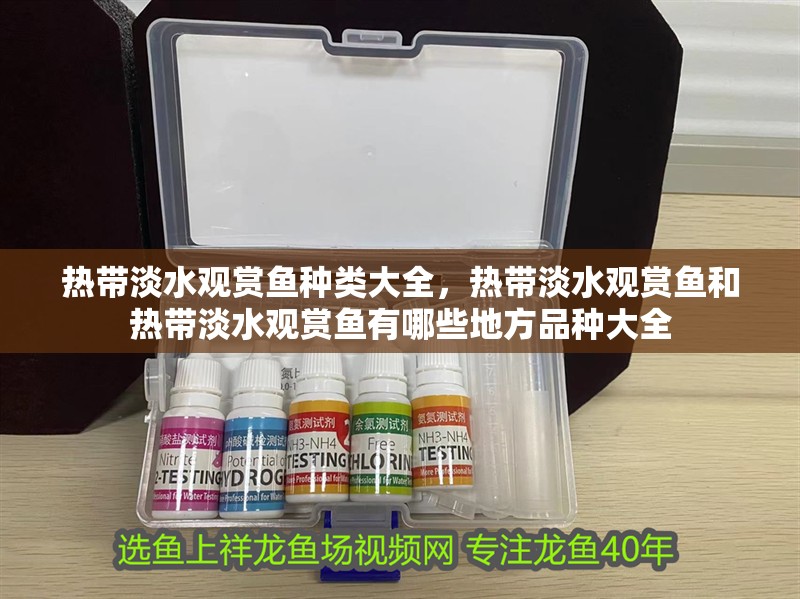 熱帶淡水觀賞魚種類大全，熱帶淡水觀賞魚和熱帶淡水觀賞魚有哪些地方品種大全 熱帶淡水觀賞魚種類大全，熱帶淡水觀賞魚和熱帶淡水觀賞魚有哪些地方品種大全 觀賞魚百科