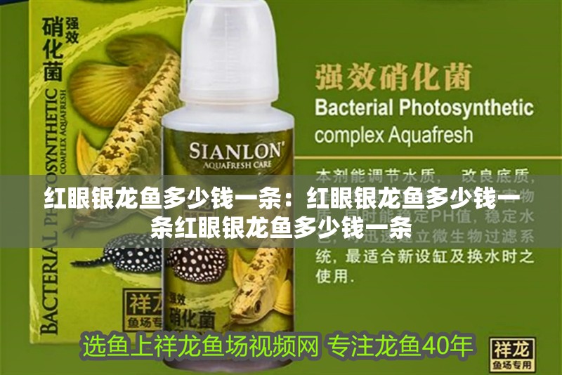 紅眼銀龍魚多少錢一條：紅眼銀龍魚多少錢一條紅眼銀龍魚多少錢一條