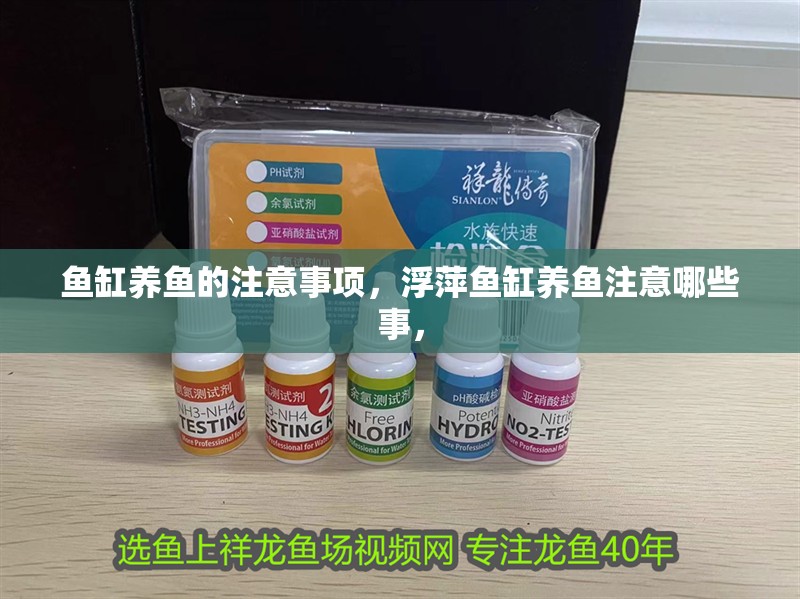 魚缸養魚的注意事項，浮萍魚缸養魚注意哪些事，