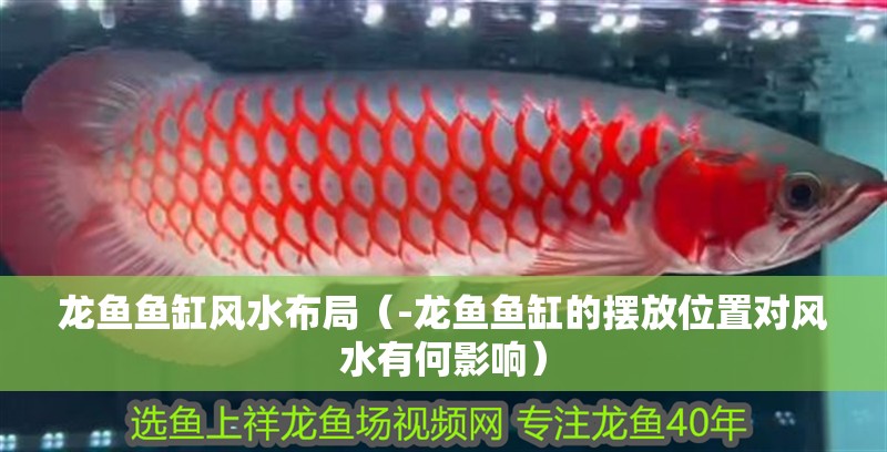 龍魚魚缸風水布局（-龍魚魚缸的擺放位置對風水有何影響）