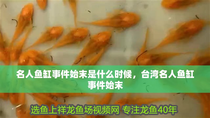 名人魚缸事件始末是什么時(shí)候，臺灣名人魚缸事件始末