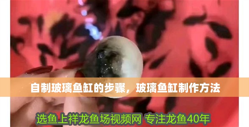 自制玻璃魚缸的步驟,玻璃魚缸制作方法 觀賞魚百科 第4張 自制玻璃魚缸的步驟,玻璃魚缸制作方法 自制玻璃魚缸的步驟,玻璃魚缸制作方法 觀賞魚百科 第4張