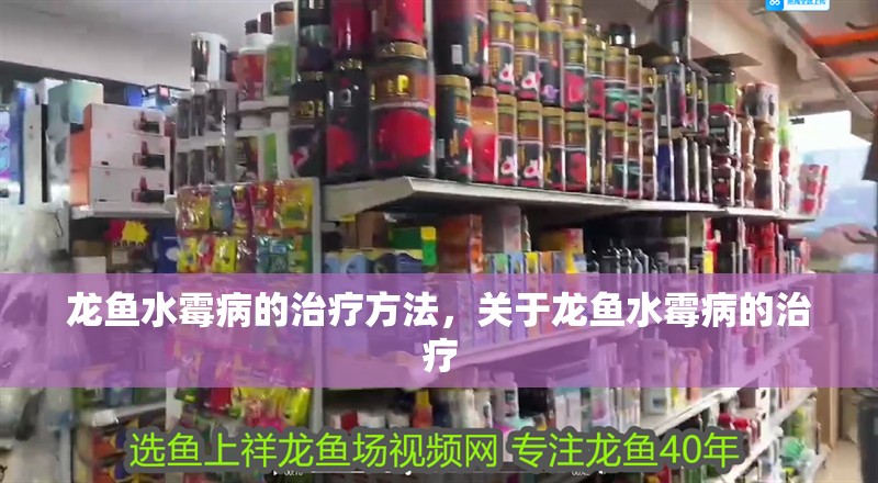 龍魚水霉病的治療方法，關于龍魚水霉病的治療 龍魚水霉病的治療方法，關于龍魚水霉病的治療 觀賞魚百科 第2張