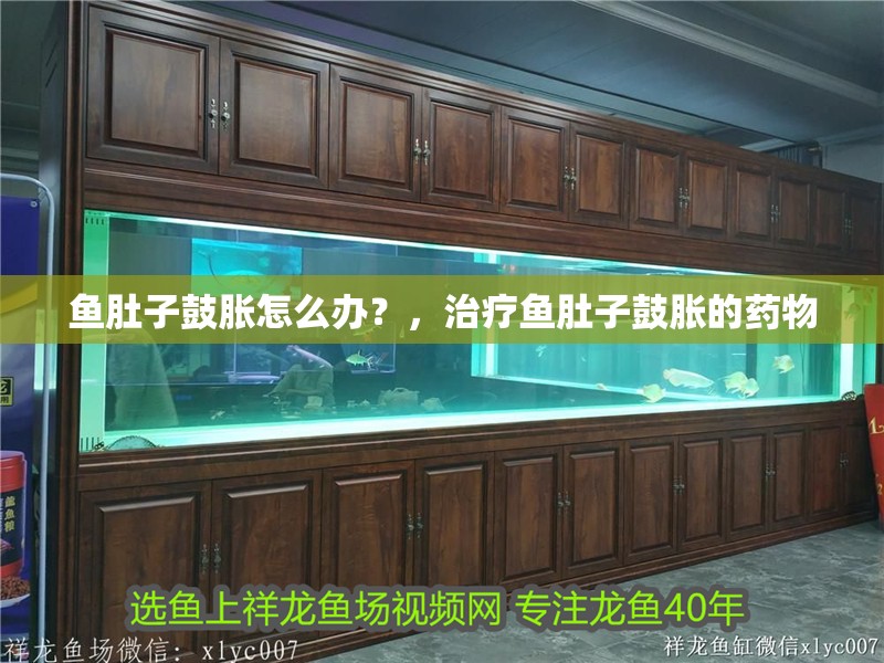 魚肚子鼓脹怎么辦？，治療魚肚子鼓脹的藥物