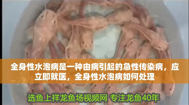 全身性水泡病是一種由病引起的急性傳染病，應(yīng)立即就醫(yī)，全身性水泡病如何處理