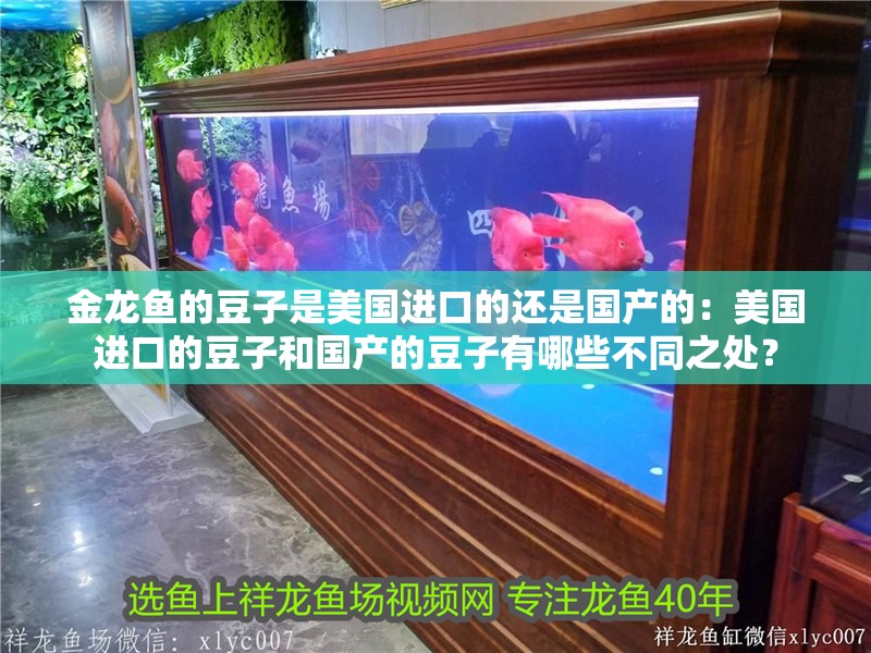 金龍魚的豆子是美國進(jìn)口的還是國產(chǎn)的：美國進(jìn)口的豆子和國產(chǎn)的豆子有哪些不同之處？