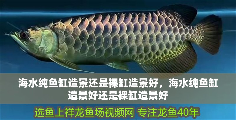 海水純魚缸造景還是裸缸造景好，海水純魚缸造景好還是裸缸造景好 海水純魚缸造景還是裸缸造景好，海水純魚缸造景好還是裸缸造景好 觀賞魚百科 第2張