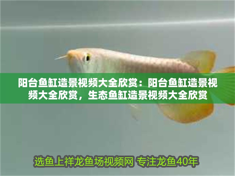 陽臺魚缸造景視頻大全欣賞：陽臺魚缸造景視頻大全欣賞，生態魚缸造景視頻大全欣賞