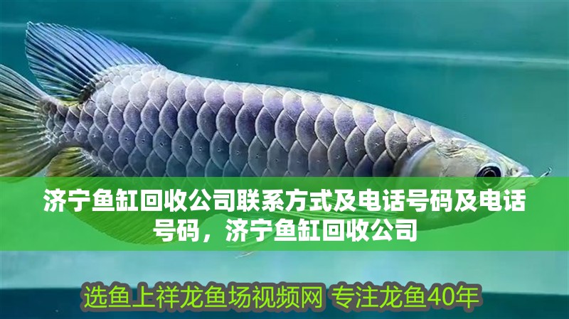 濟寧魚缸回收公司聯(lián)系方式及電話號碼及電話號碼，濟寧魚缸回收公司