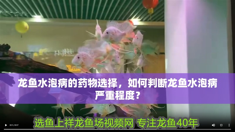 龍魚水泡病的藥物選擇，如何判斷龍魚水泡病嚴(yán)重程度？