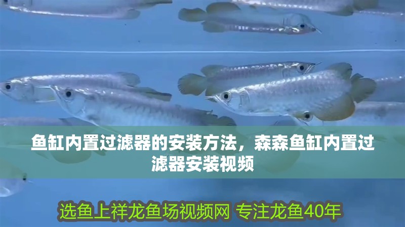 魚缸內置過濾器的安裝方法，森森魚缸內置過濾器安裝視頻 魚缸內置過濾器的安裝方法，森森魚缸內置過濾器安裝視頻 觀賞魚百科