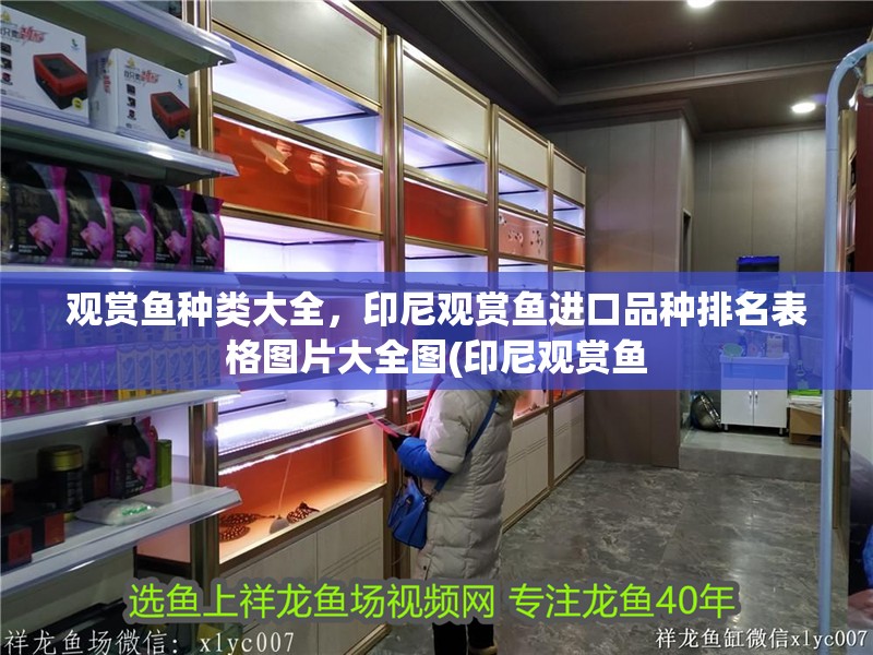 觀賞魚種類大全，印尼觀賞魚進口品種排名表格圖片大全圖(印尼觀賞魚