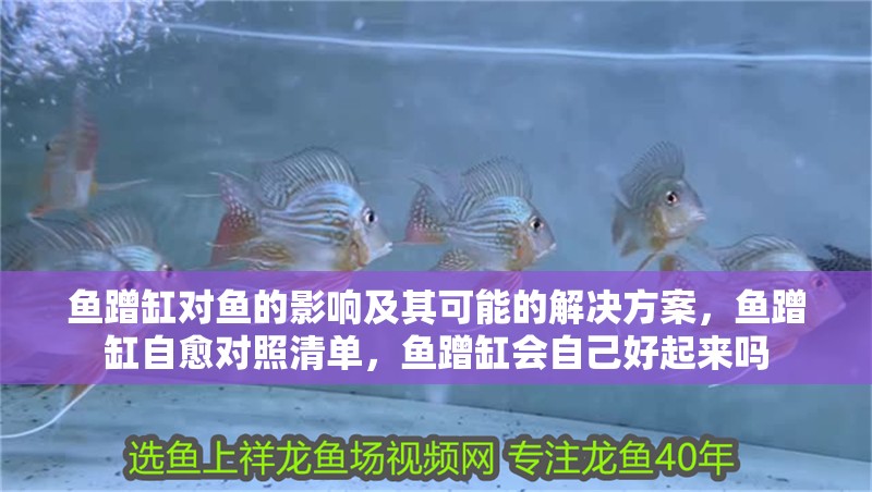 魚蹭缸對魚的影響及其可能的解決方案，魚蹭缸自愈對照清單，魚蹭缸會自己好起來嗎