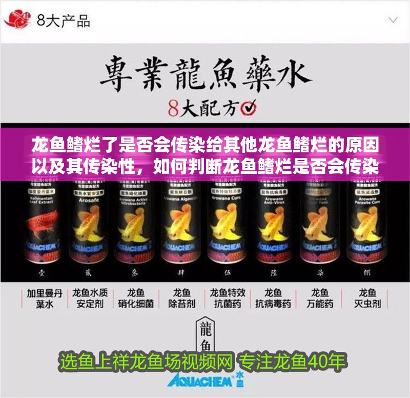 龍魚鰭爛了是否會傳染給其他龍魚鰭爛的原因以及其傳染性，如何判斷龍魚鰭爛是否會傳染