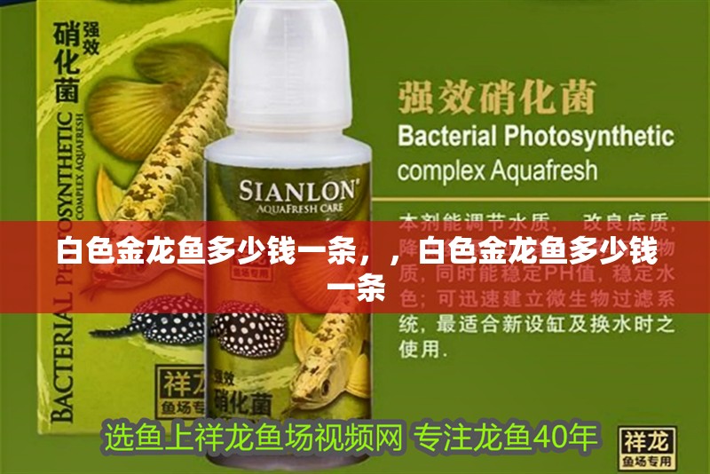 白色金龍魚多少錢一條，，白色金龍魚多少錢一條