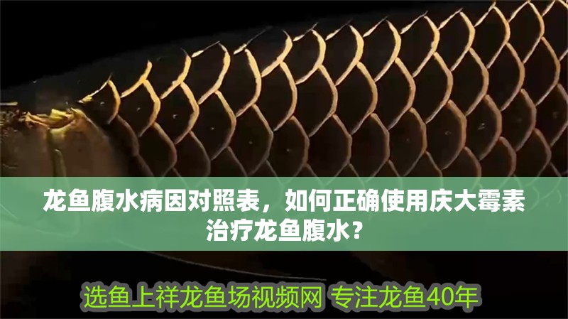 龍魚腹水病因?qū)φ毡恚绾握_使用慶大霉素治療龍魚腹水？