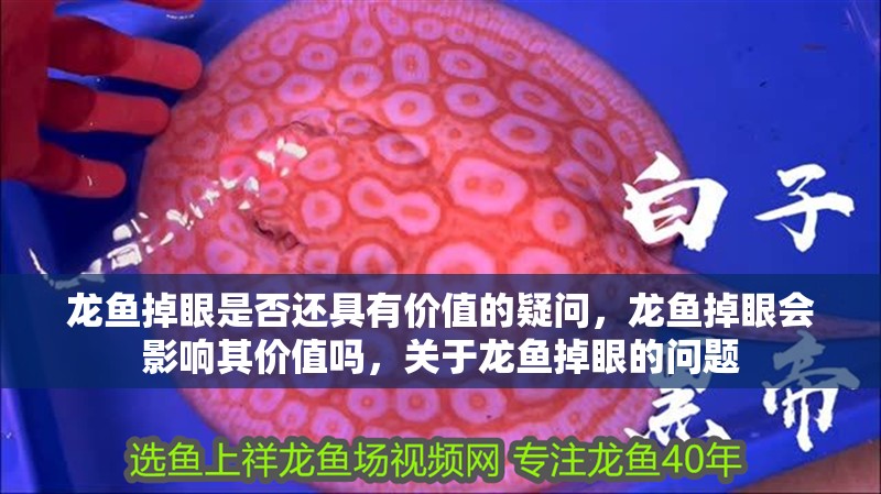 龍魚(yú)掉眼是否還具有價(jià)值的疑問(wèn)，龍魚(yú)掉眼會(huì)影響其價(jià)值嗎，關(guān)于龍魚(yú)掉眼的問(wèn)題