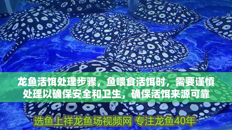 龍魚活餌處理步驟，魚喂食活餌時(shí)，需要謹(jǐn)慎處理以確保安全和衛(wèi)生，確?；铕D來(lái)源可靠