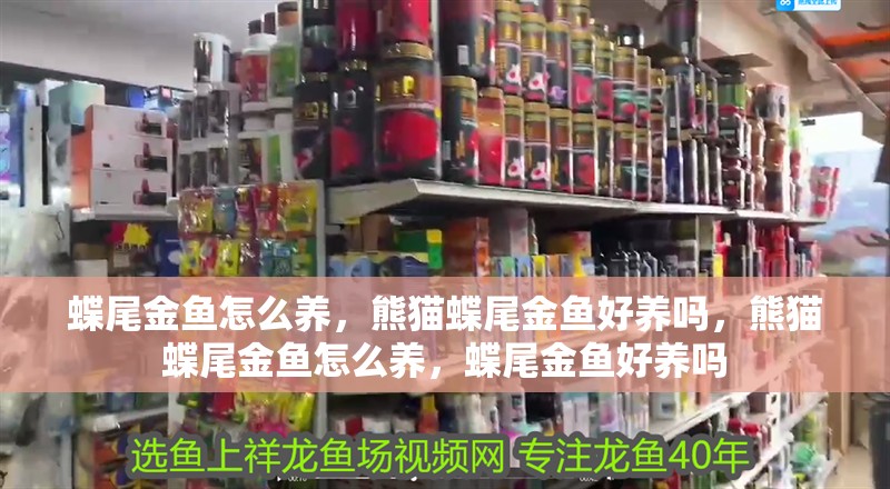 蝶尾金魚怎么養，熊貓蝶尾金魚好養嗎，熊貓蝶尾金魚怎么養，蝶尾金魚好養嗎