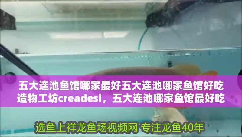五大連池魚館哪家最好五大連池哪家魚館好吃造物工坊creadesi，五大連池哪家魚館最好吃五大連池魚館哪家最好