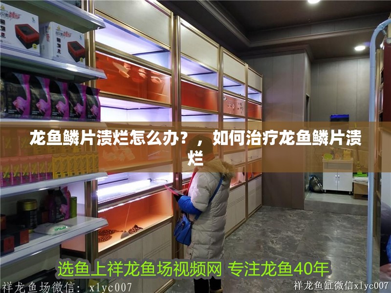 龍魚鱗片潰爛怎么辦？，如何治療龍魚鱗片潰爛