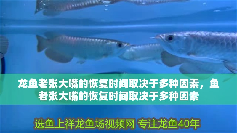 龍魚老張大嘴的恢復時間取決于多種因素，魚老張大嘴的恢復時間取決于多種因素
