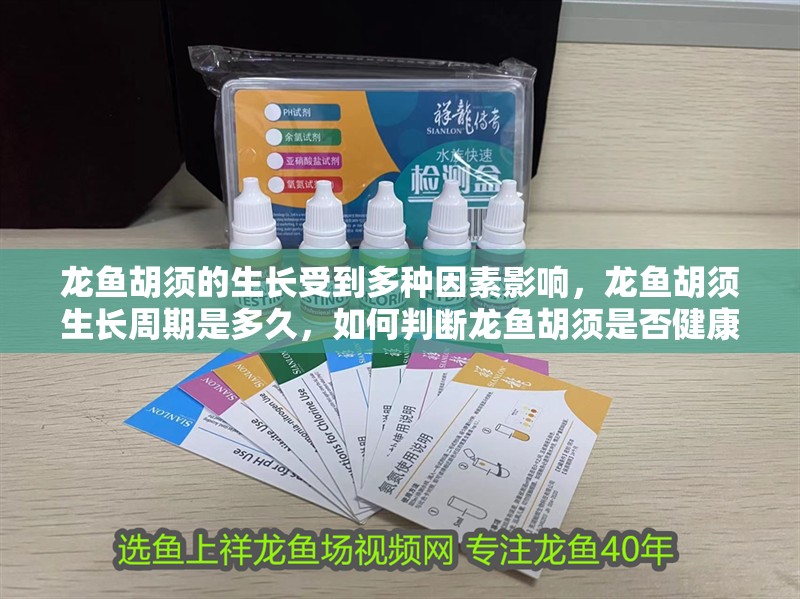 龍魚胡須的生長受到多種因素影響，龍魚胡須生長周期是多久，如何判斷龍魚胡須是否健康